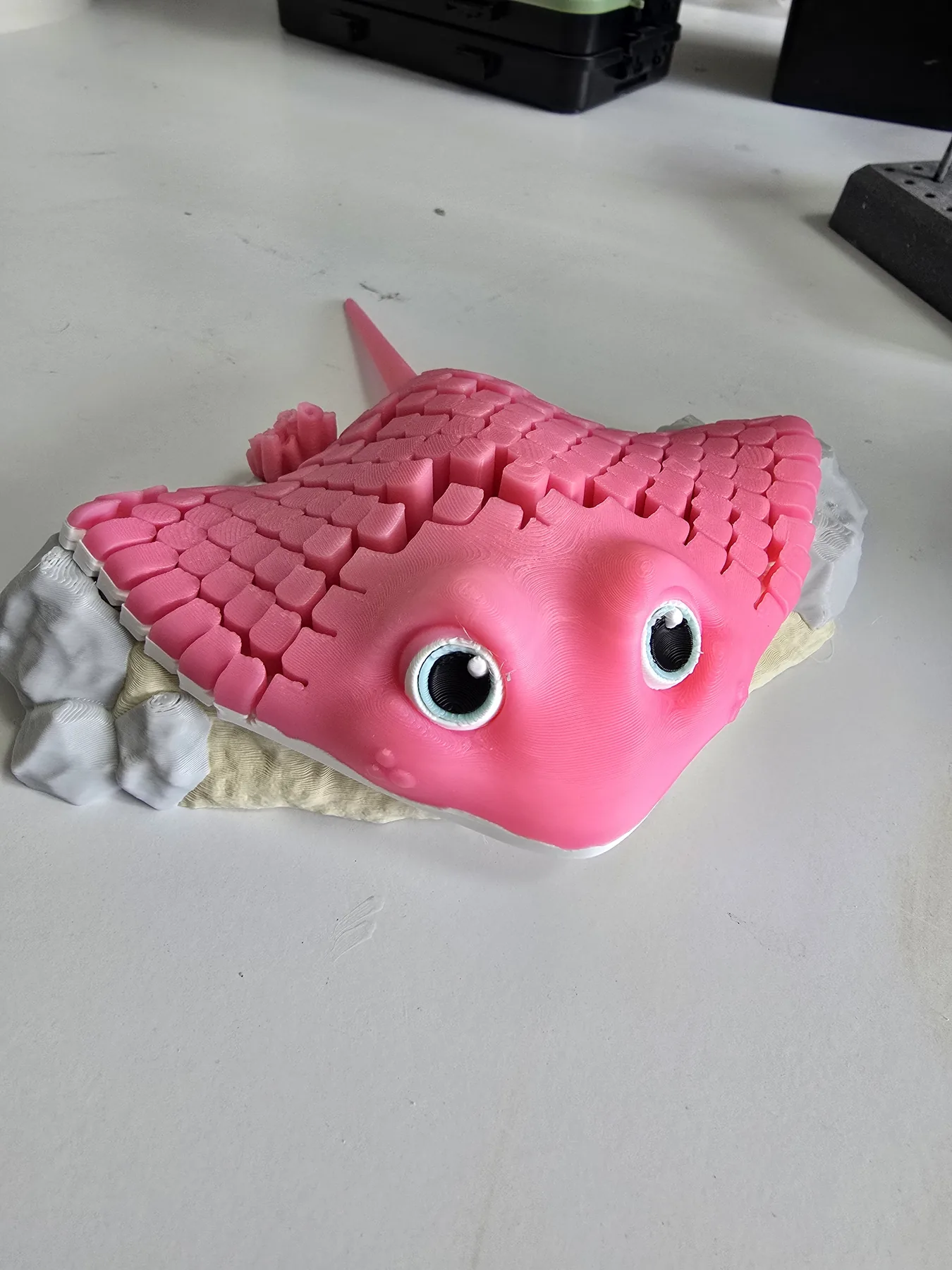 Manta Ray