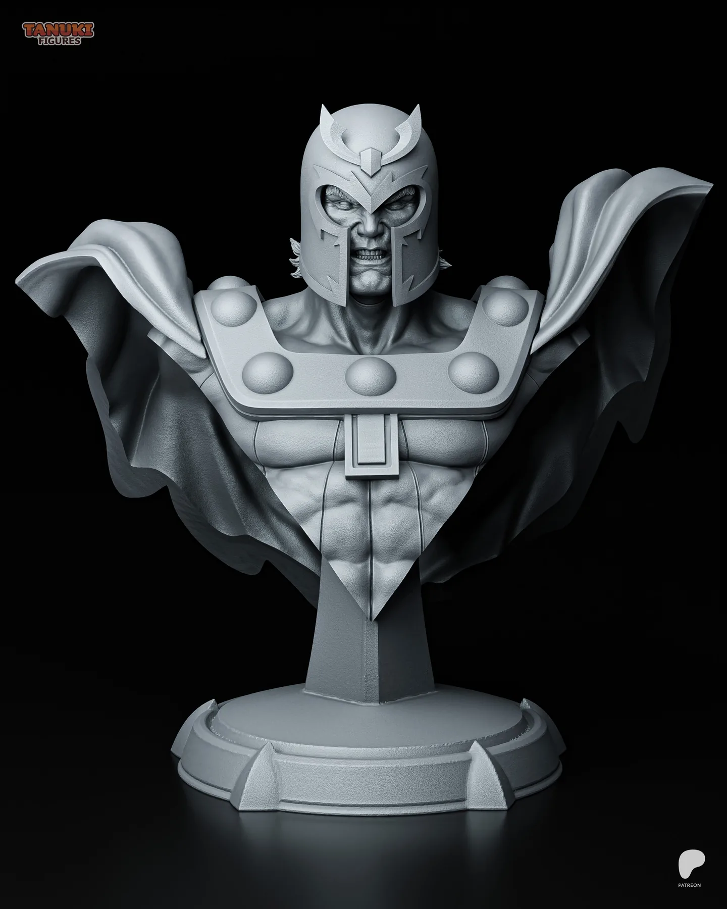 Magneto Bust