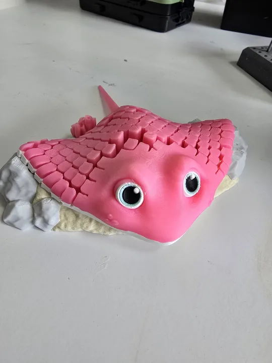 Manta Ray