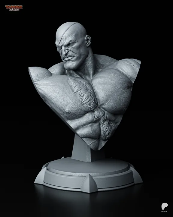 Sagat Bust