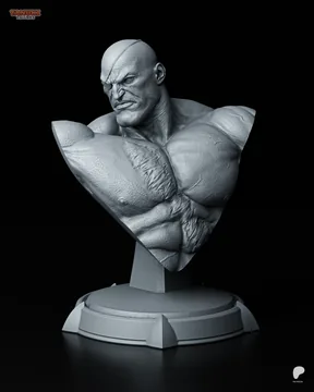 Sagat Bust thumbnail 1