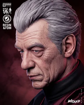 Magneto Sculpture thumbnail 5